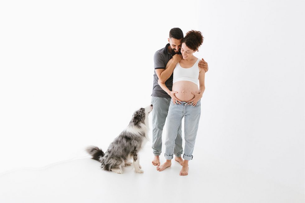 fotografia de embarazo con perro